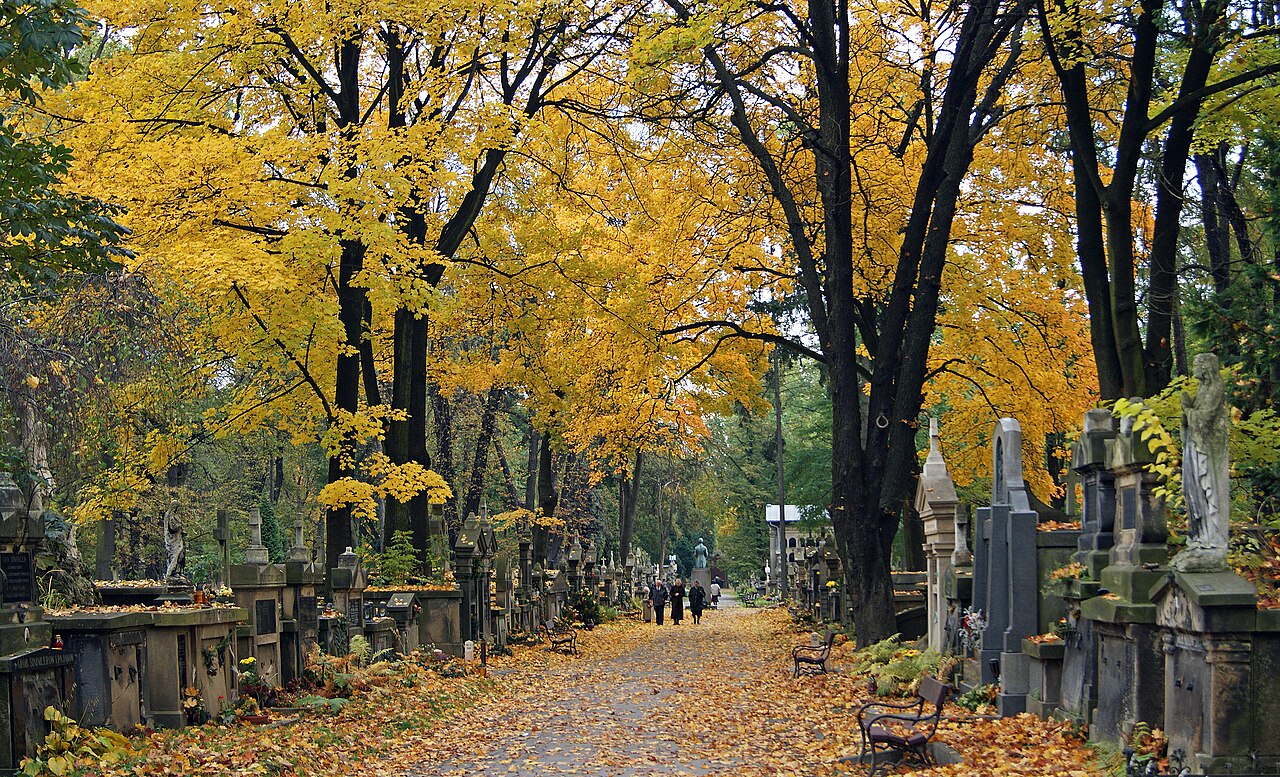 Rakowicki Cemetery, Kraków